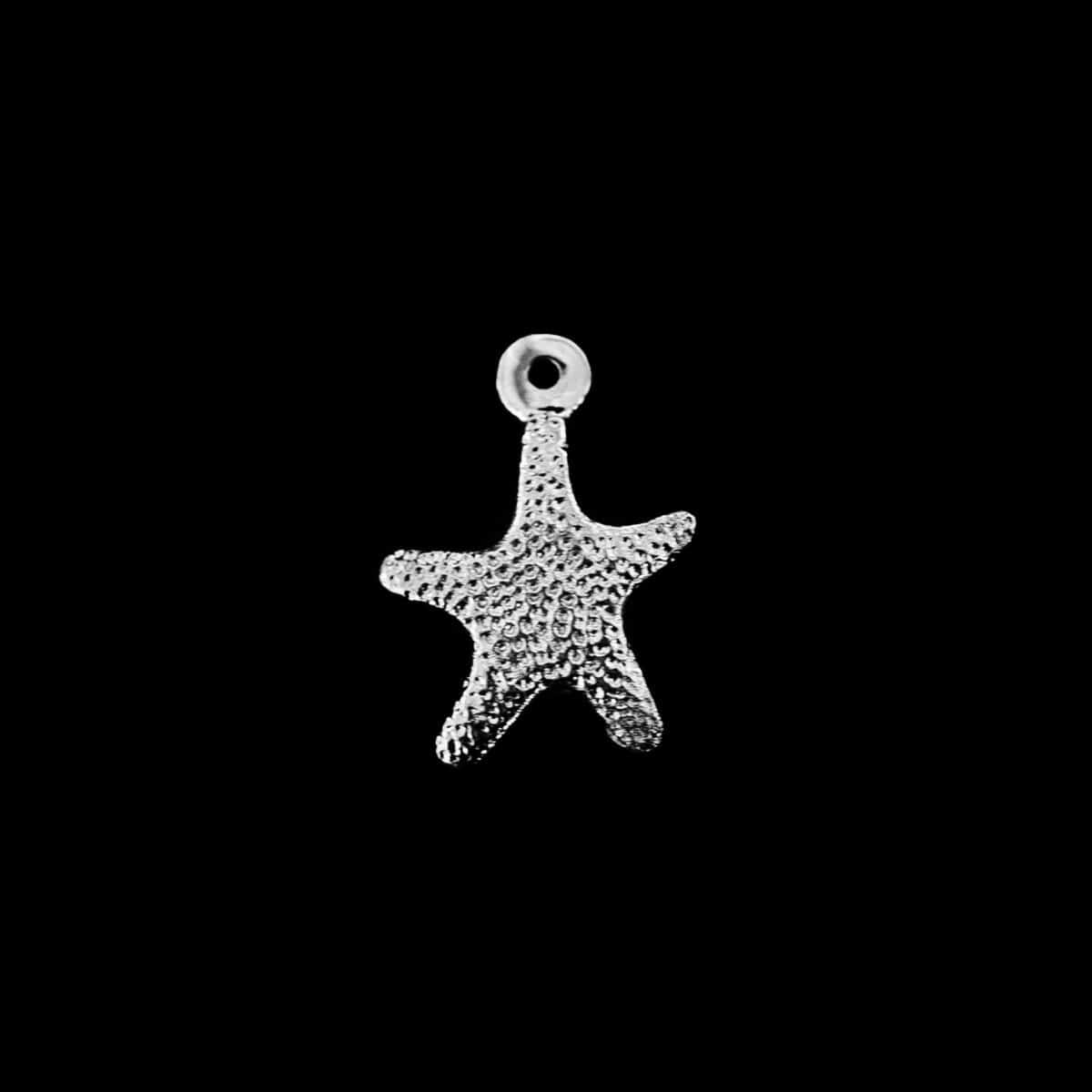 PENDANT SS W/STAR