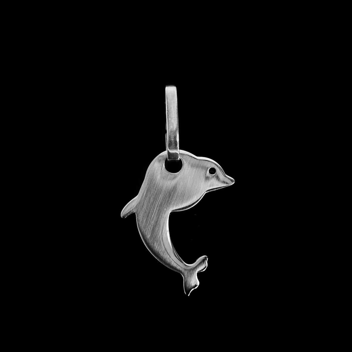 PENDANT SS W/DOLPHIN
